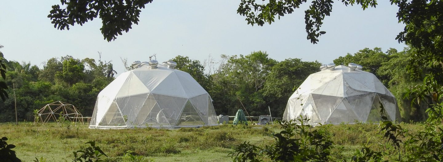 LCA C-C Biofabricas