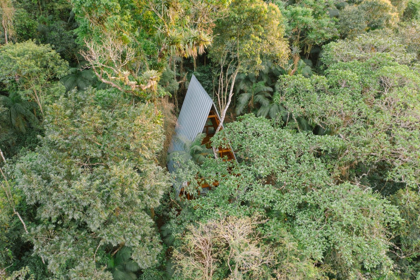 Casa Macaco
