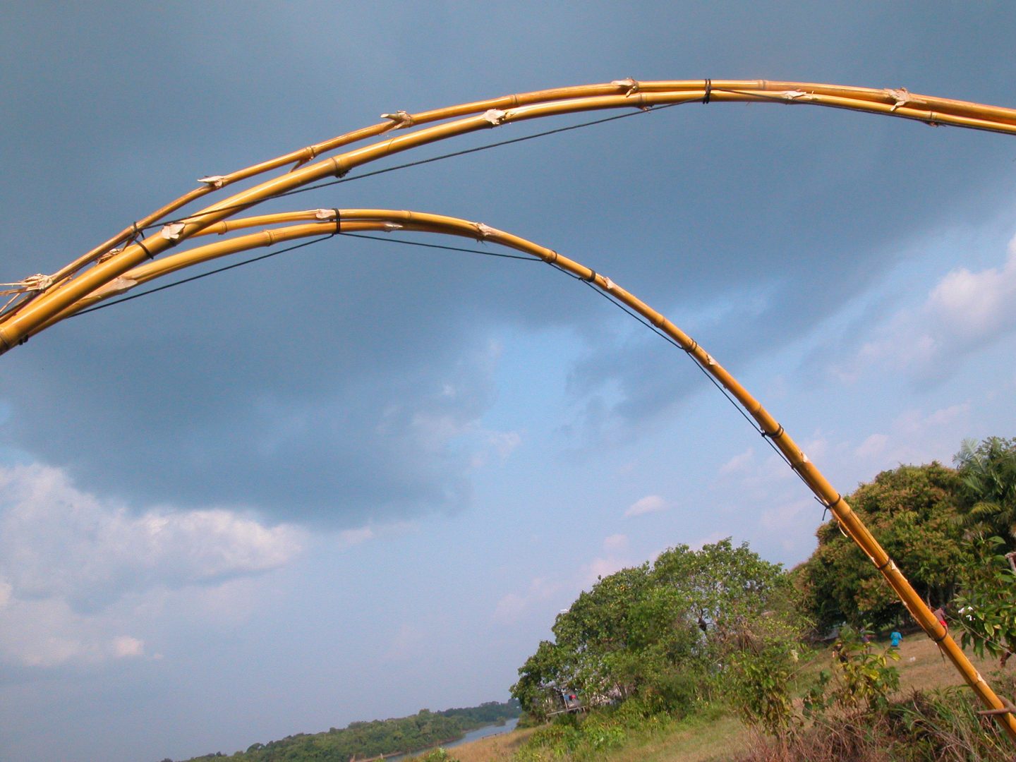 Architecture Intervention of Trans-territorial Taste